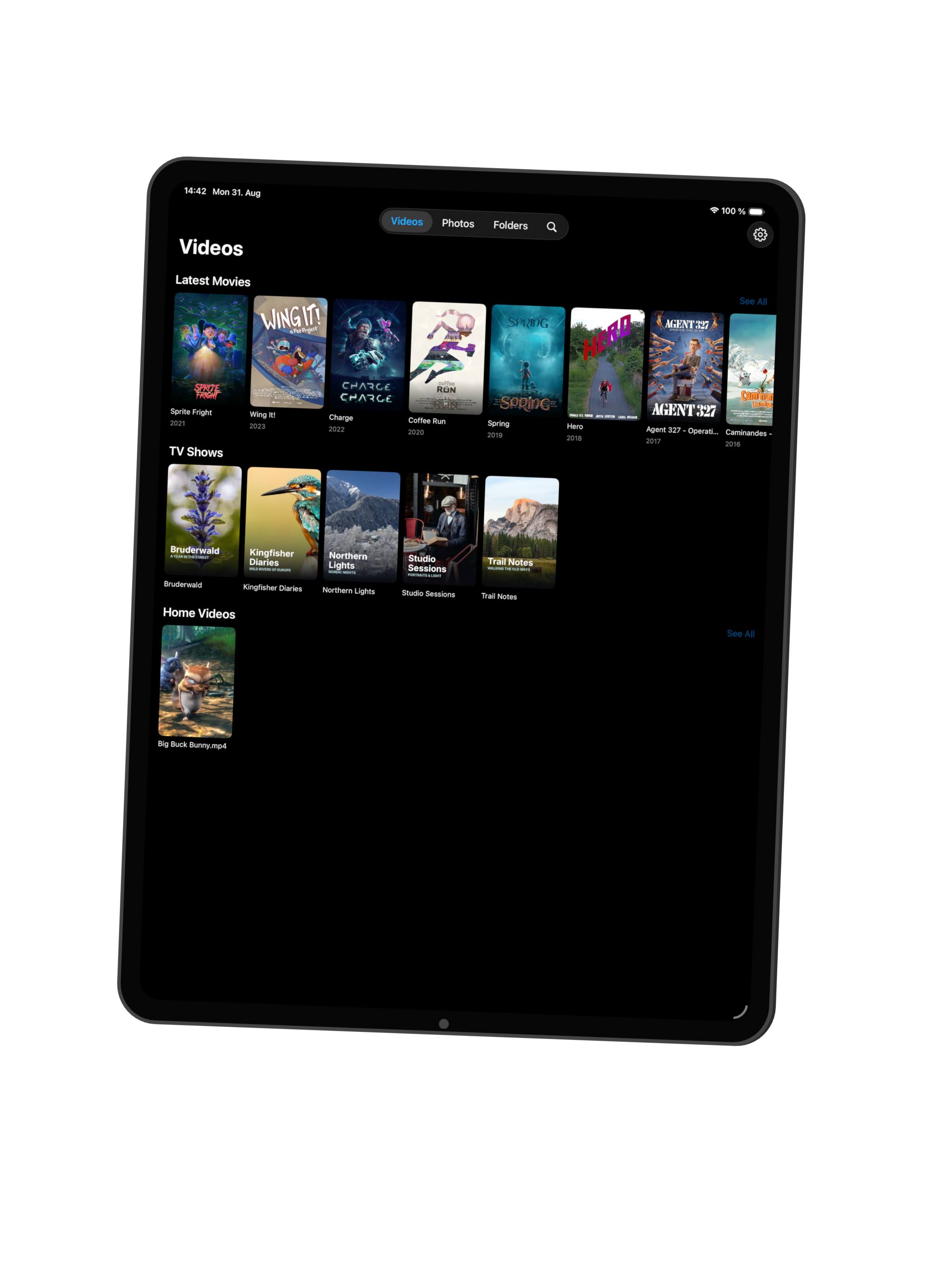 Vidi movie and TV show library on iPad