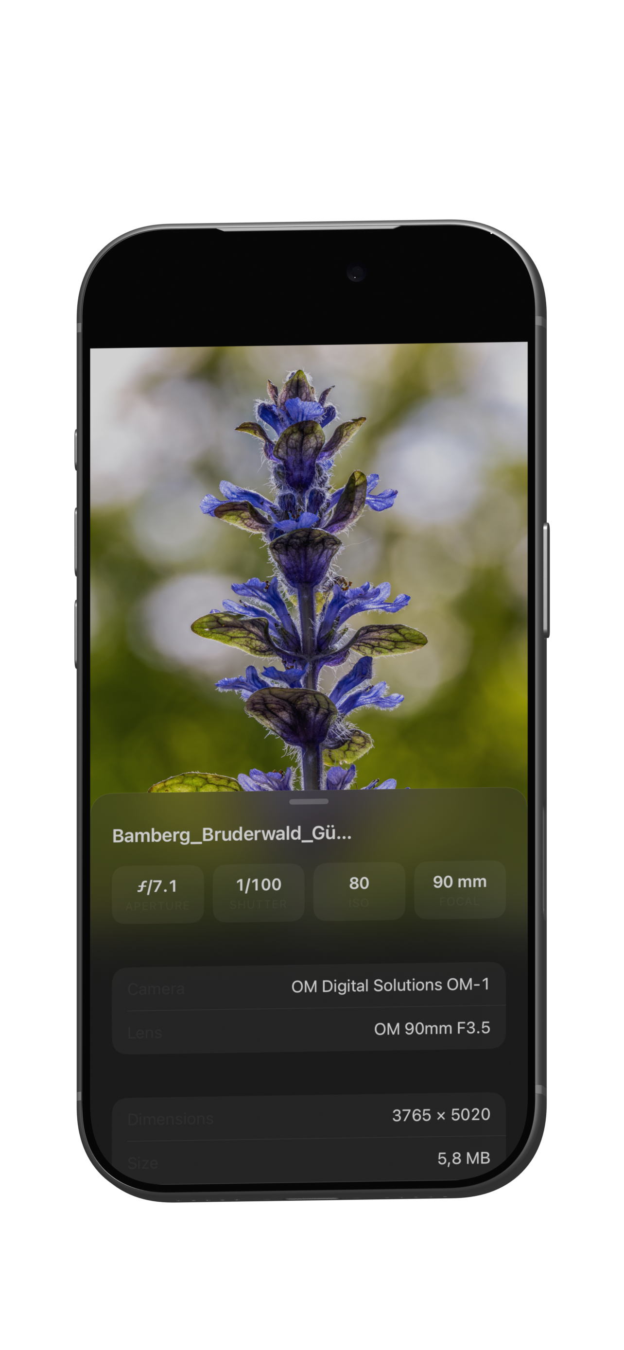 Vidi photo details with camera and lens metadata